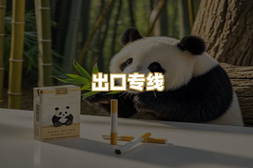 出口专线
